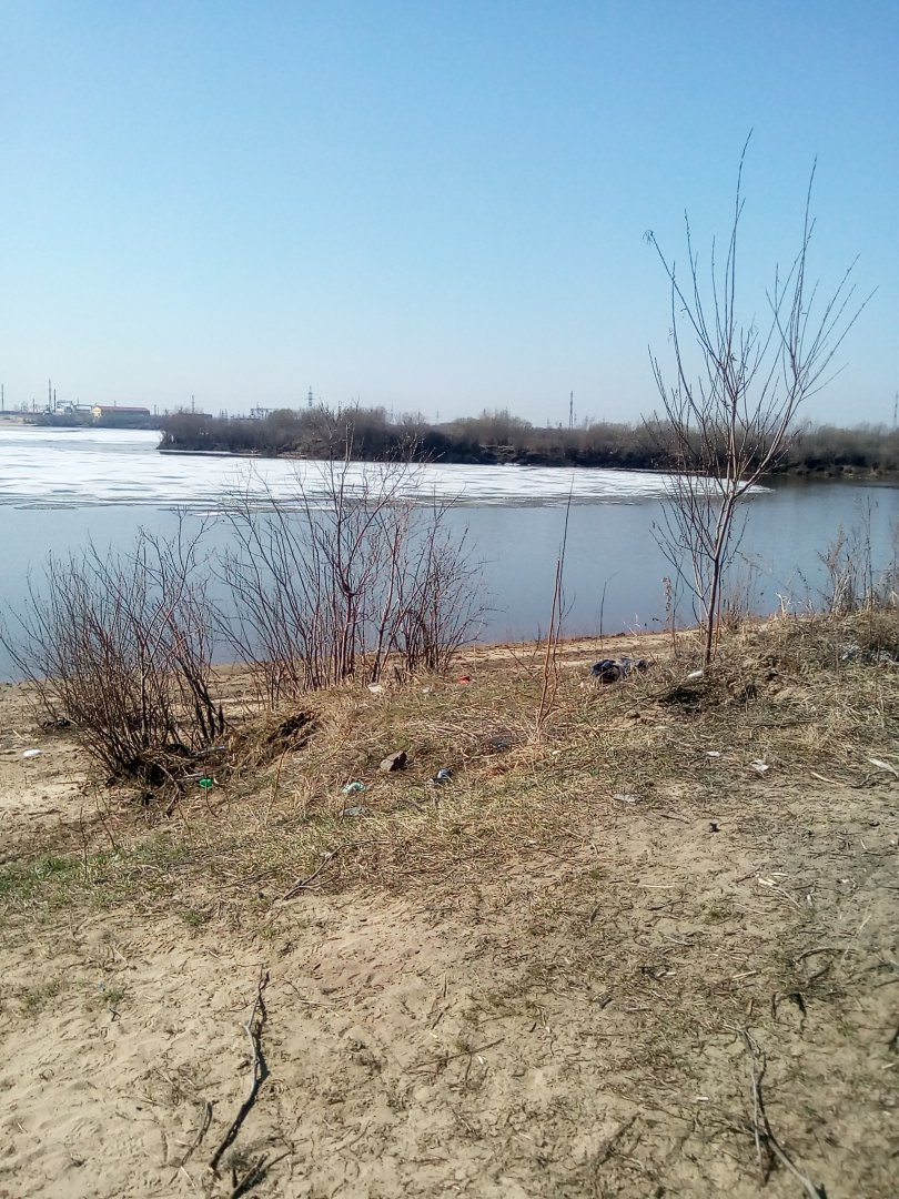 IMG_20190429_101018.jpg