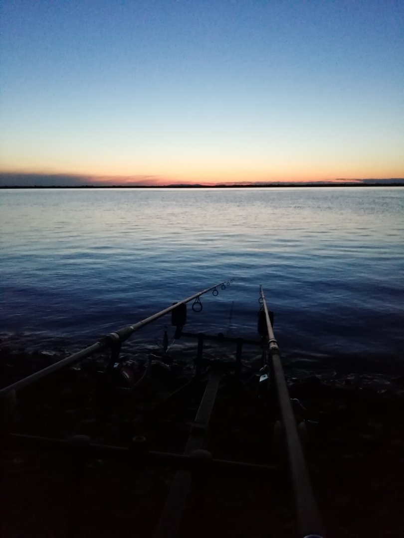 IMG_20190508_210128.jpg
