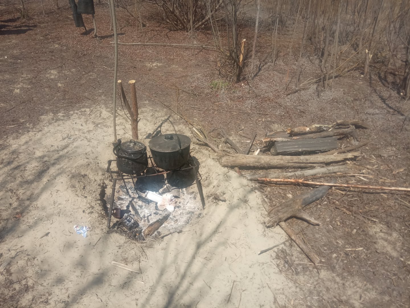 IMG_20190512_123247.jpg