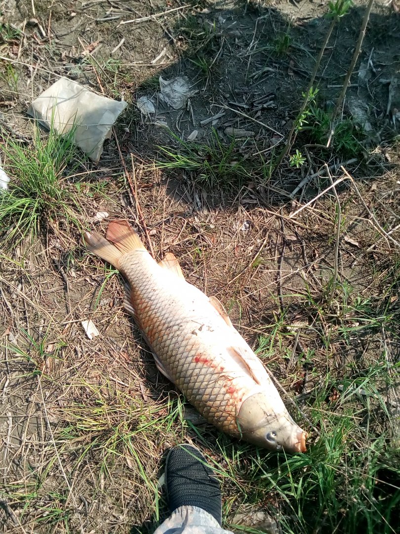 IMG_20190513_104850.jpg