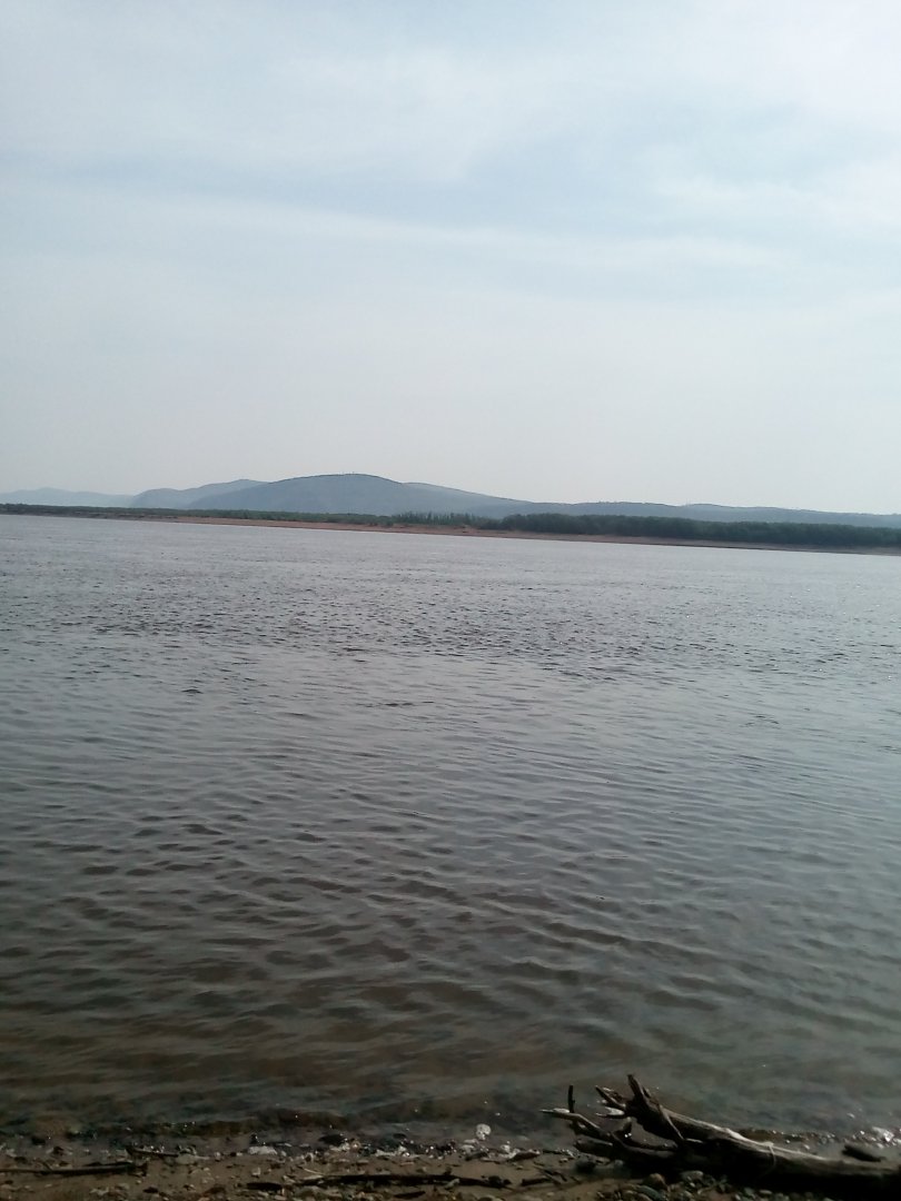 IMG_20190516_093535.jpg