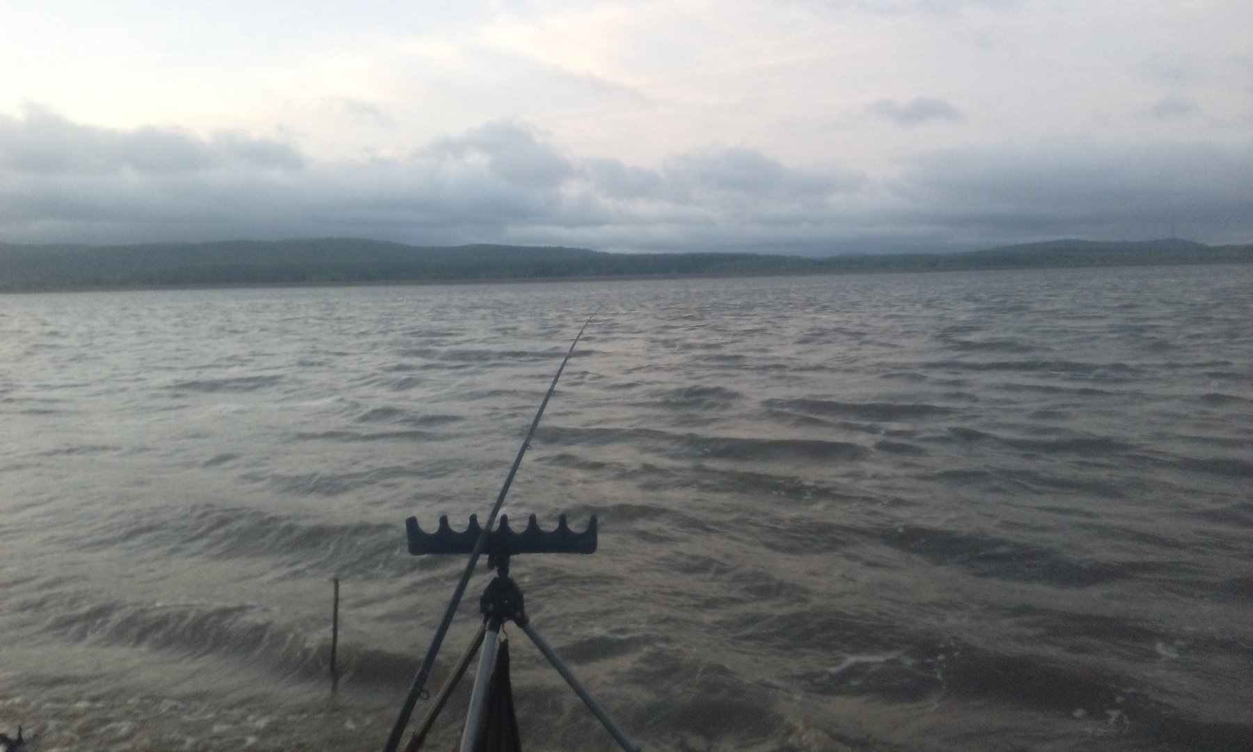IMG_20190519_050418.jpg