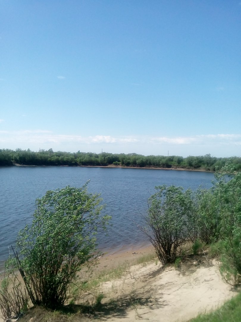 IMG_20190524_112405.jpg