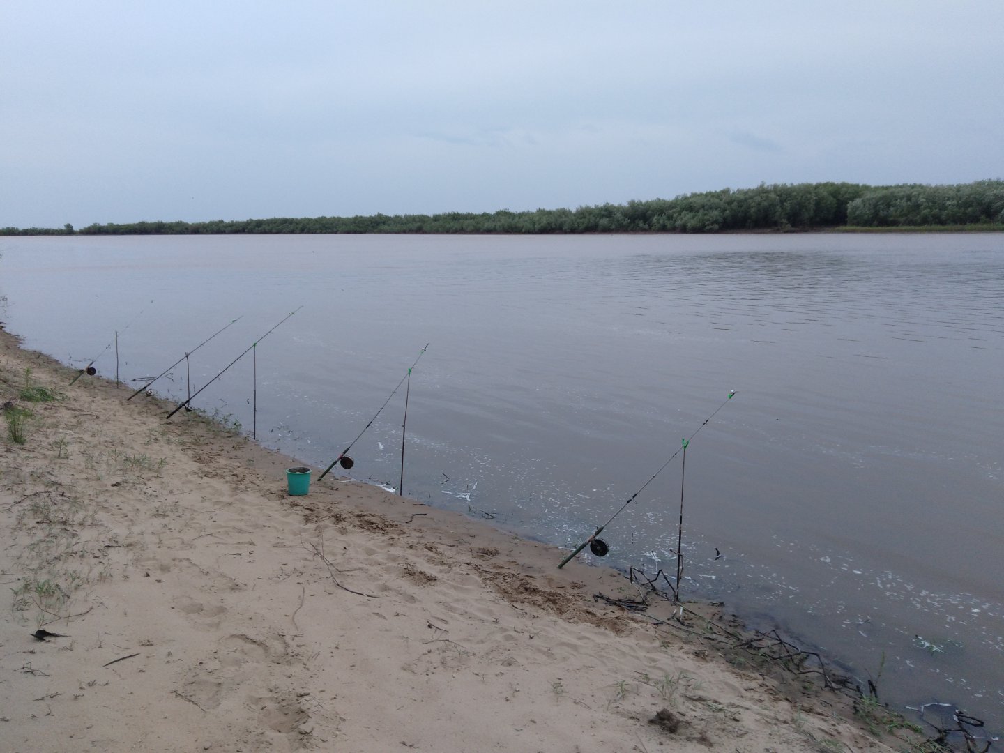 IMG_20190527_173718.jpg