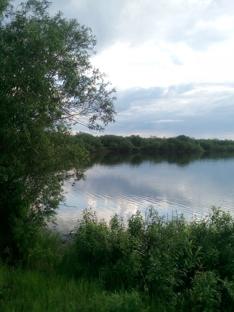 IMG_20190606_062359.jpg