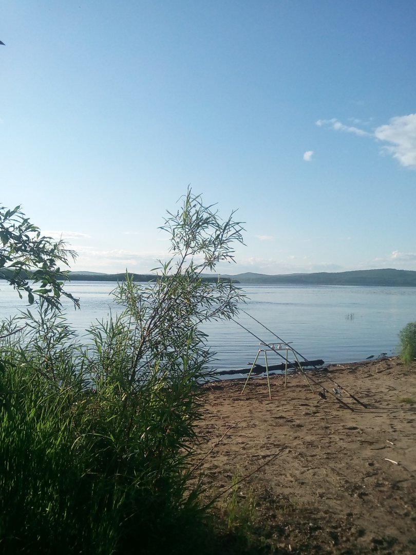 IMG_20190607_063147.jpg
