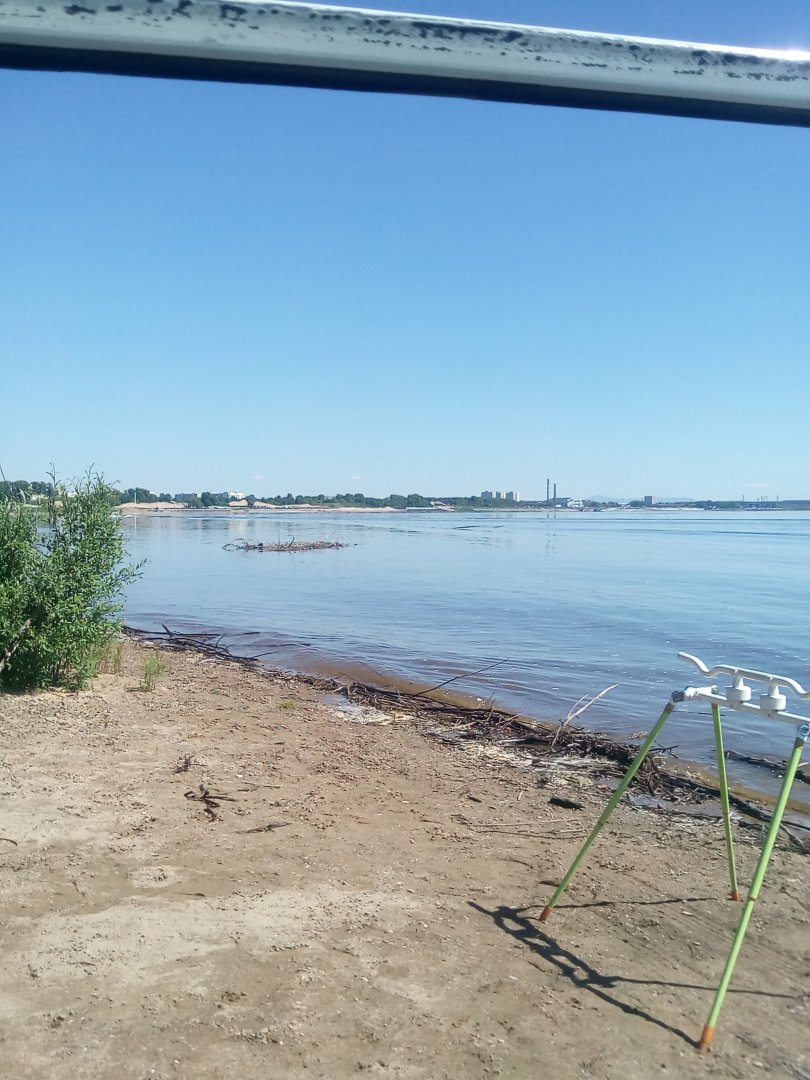 IMG_20190607_102709.jpg