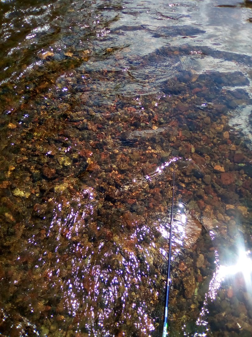 IMG_20190608_143510.jpg
