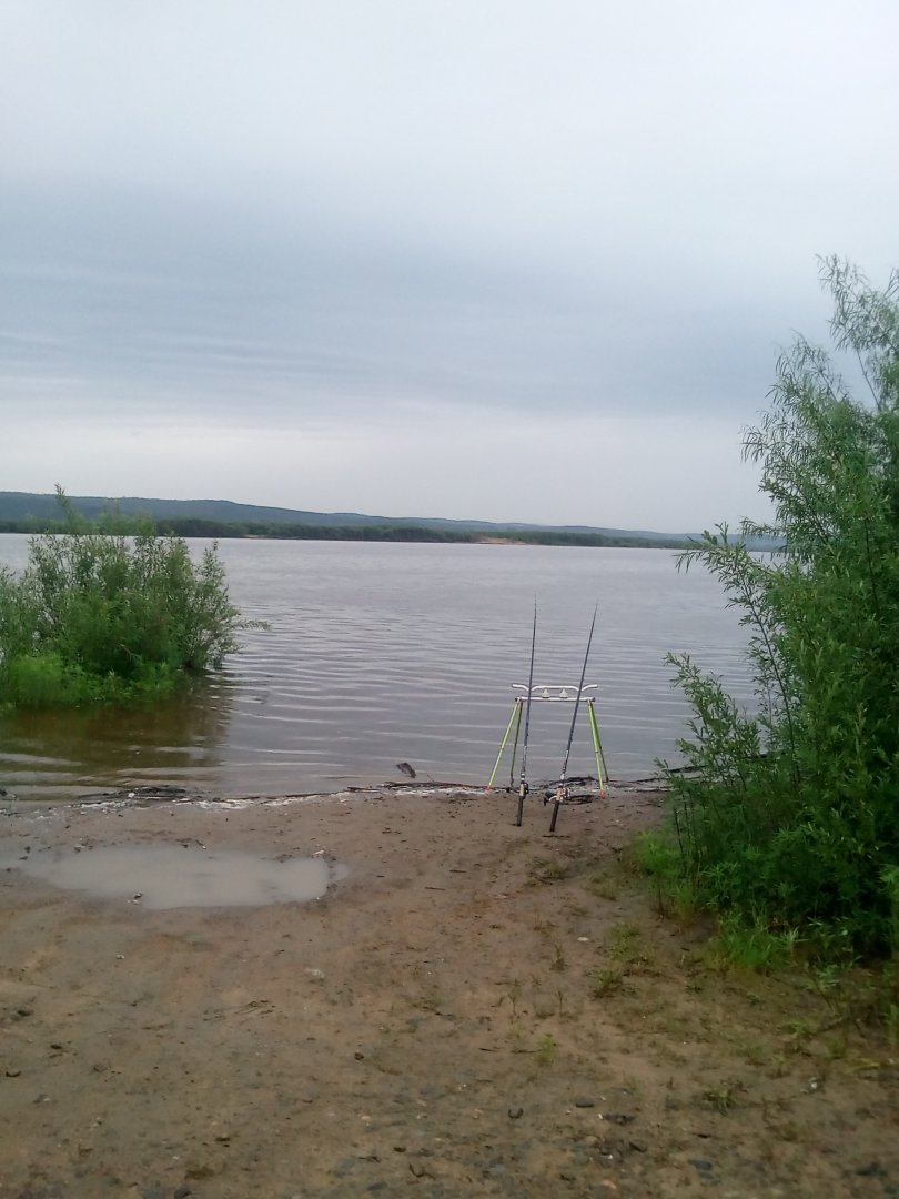 IMG_20190610_073520.jpg