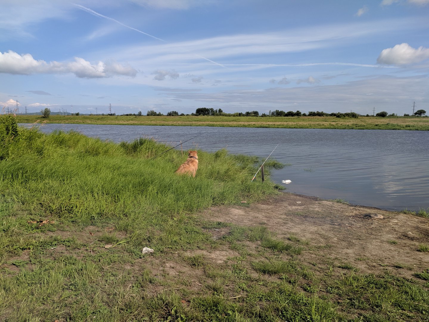 IMG_20190713_164422.jpg