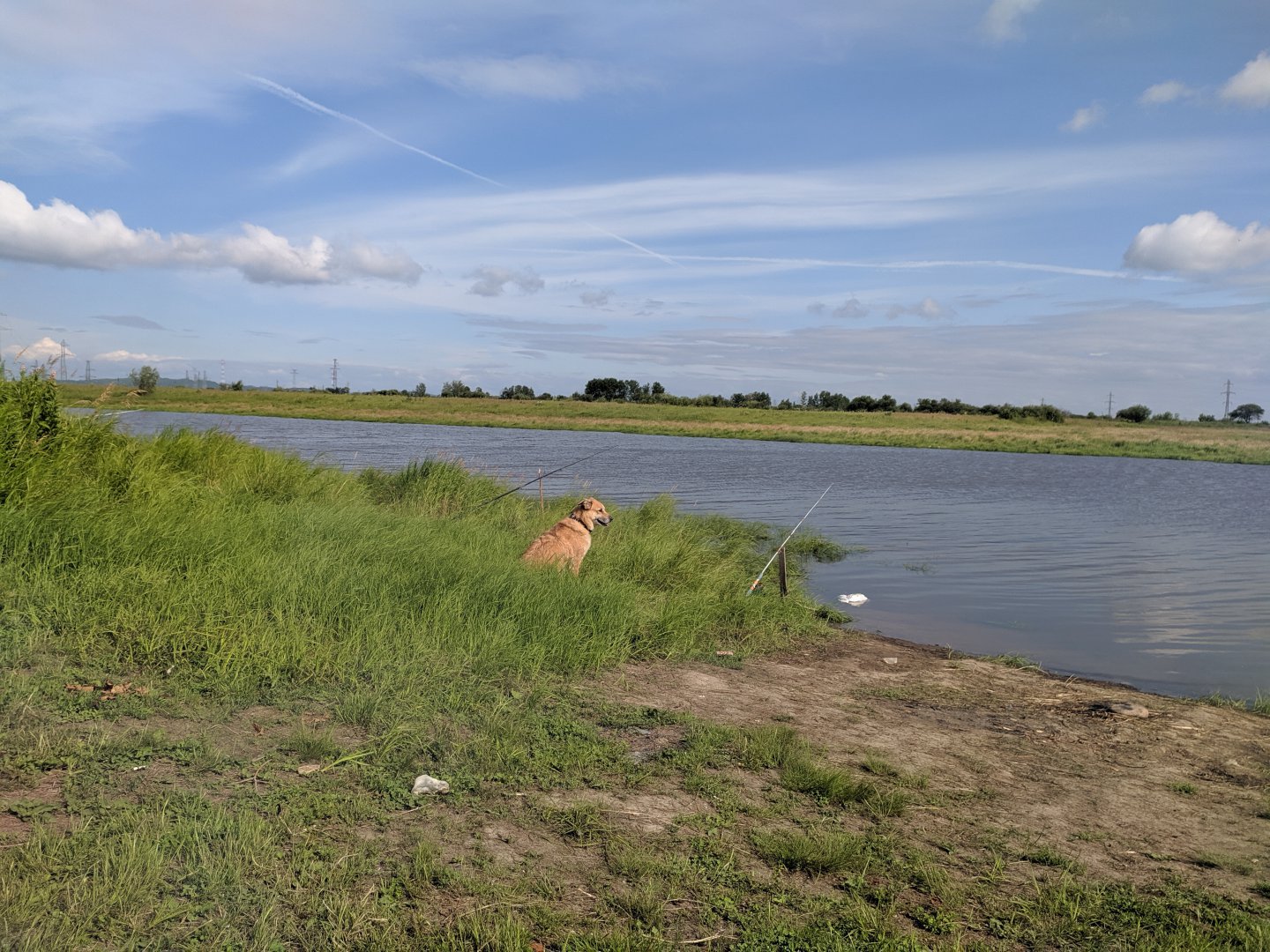 IMG_20190713_164426.jpg