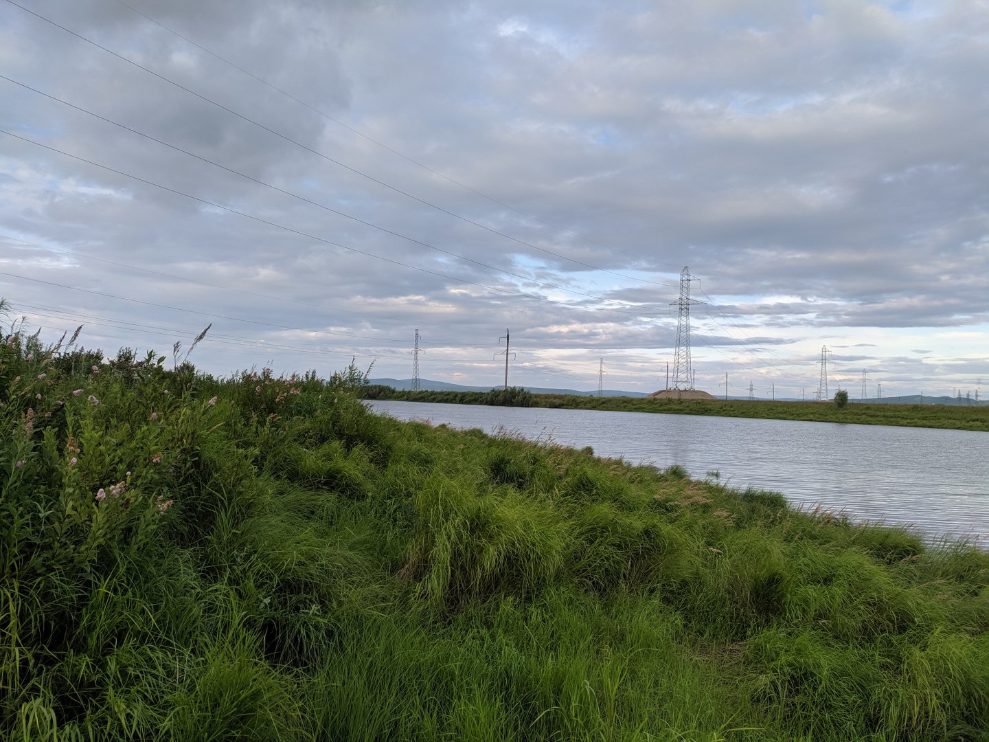 IMG_20190713_192205.jpg