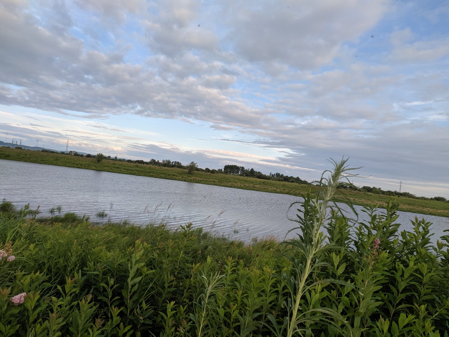 IMG_20190713_192729.jpg