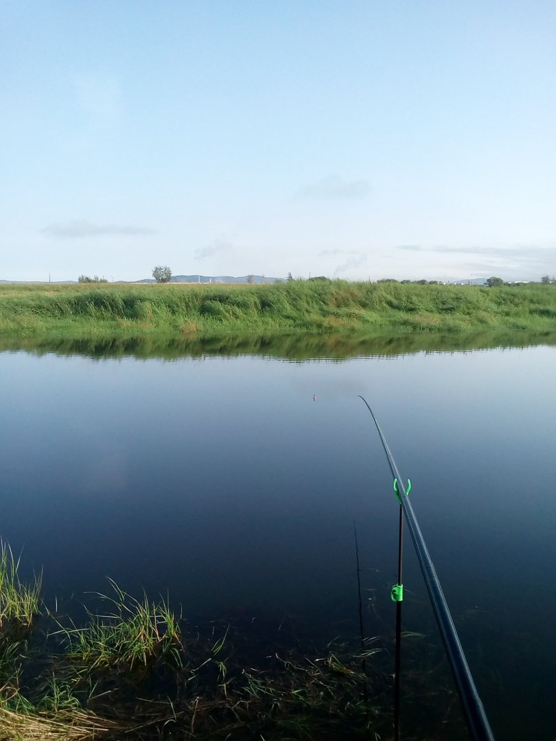 IMG_20190803_075734.jpg
