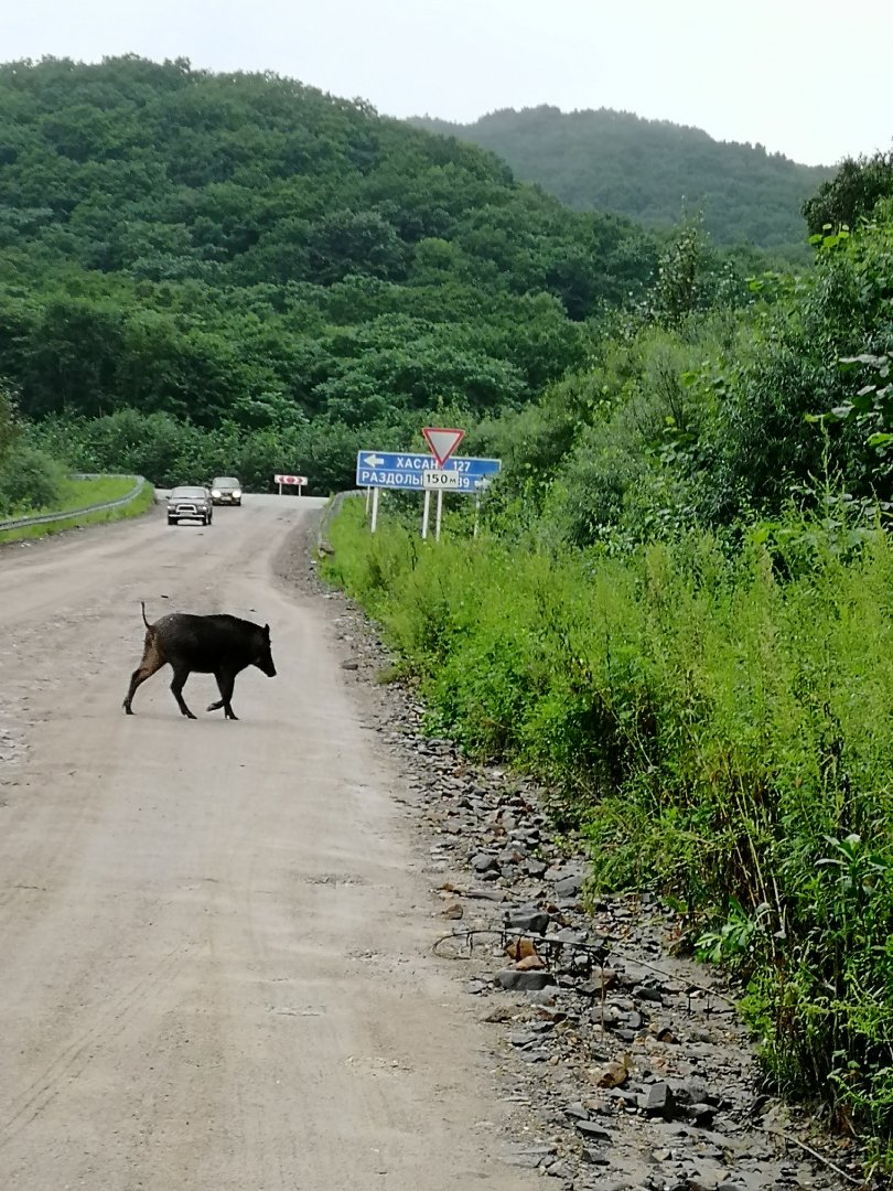 IMG_20190814_175038.jpg
