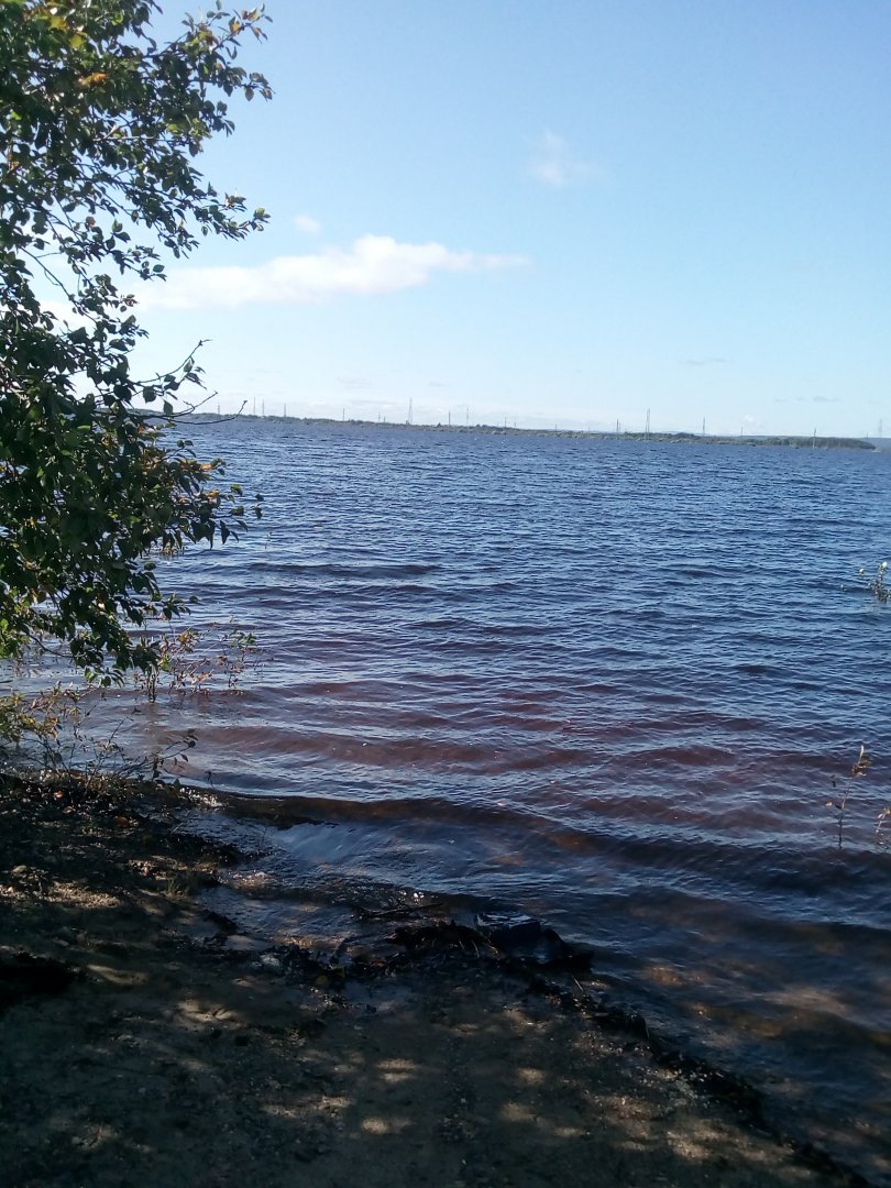IMG_20190903_110833.jpg