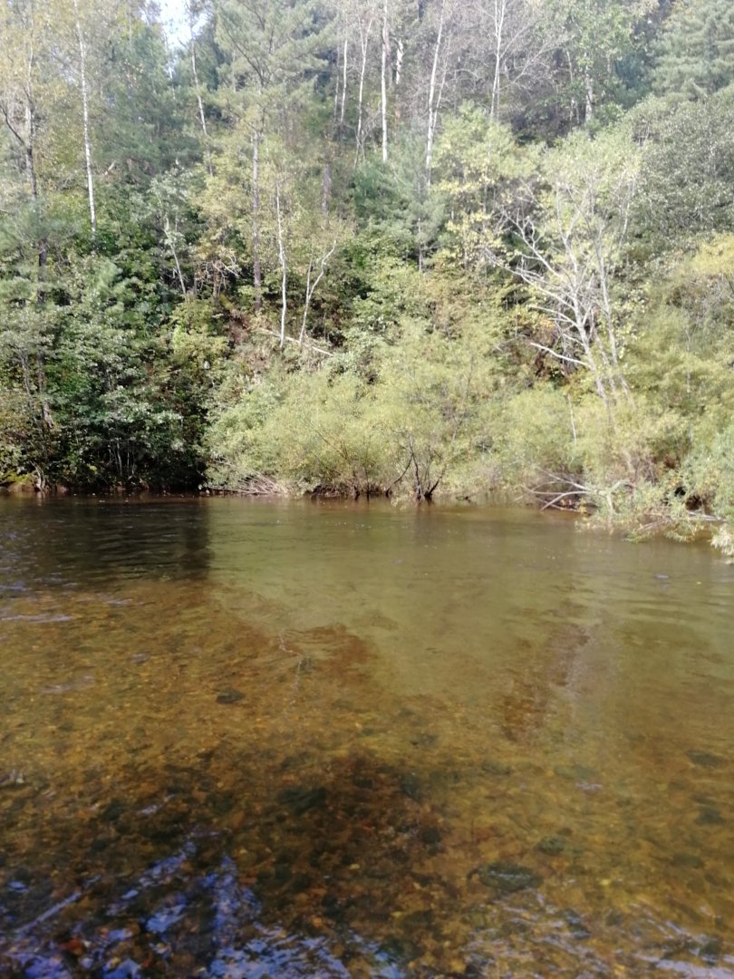 IMG_20190906_105347.jpg