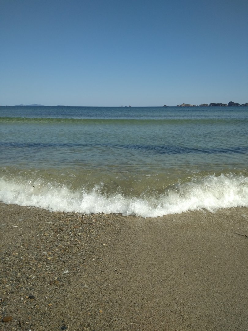 IMG_20190916_143146.jpg