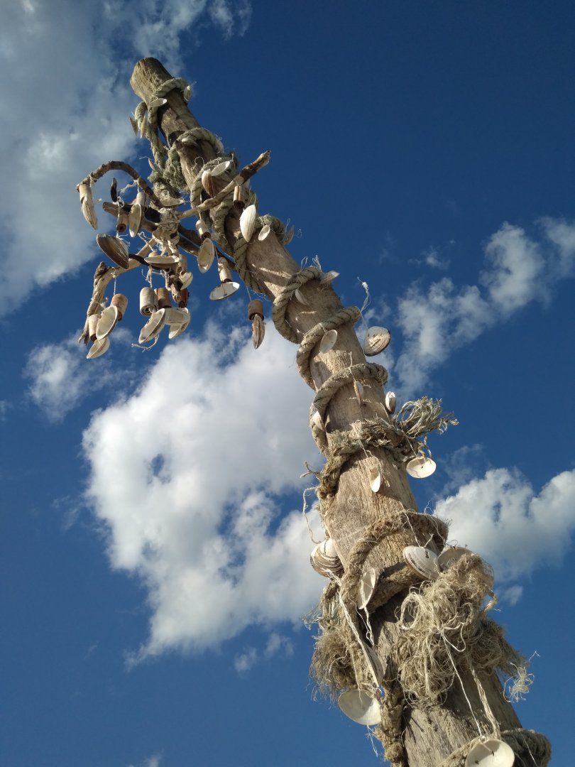 IMG_20190916_163855.jpg