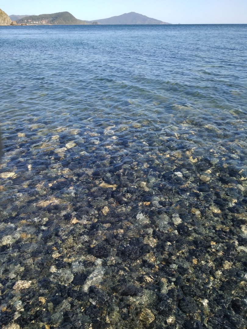 IMG_20190919_154759.jpg