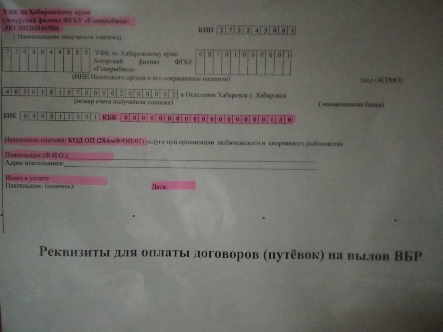 IMG_20190925_110606.jpg