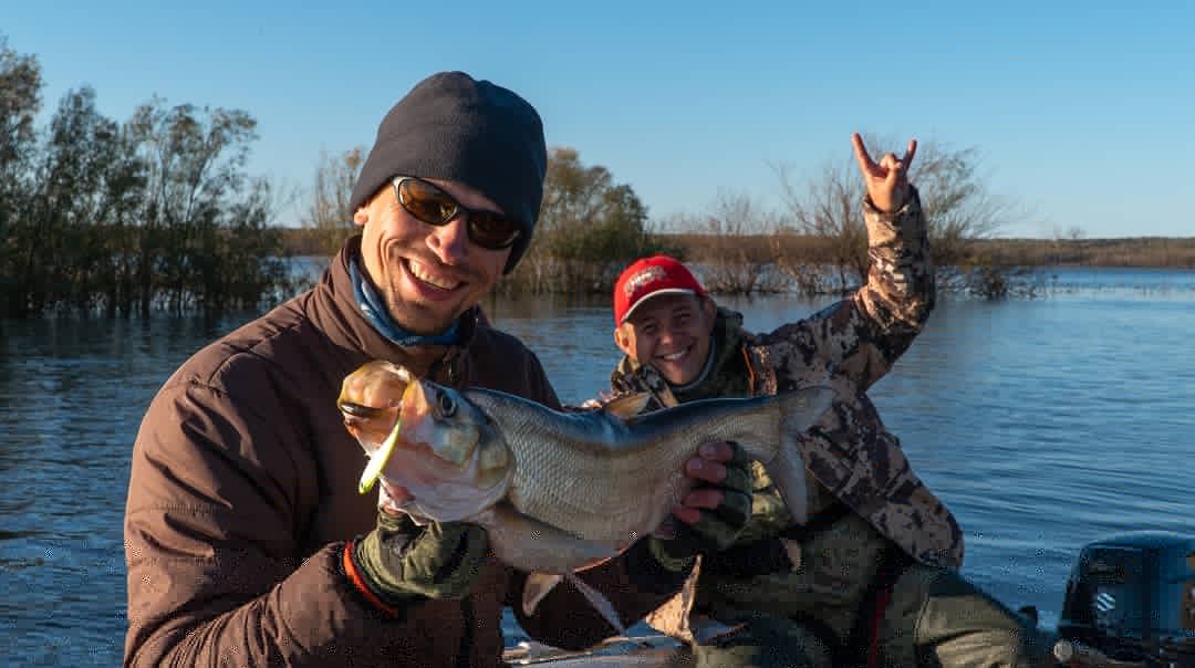 IMG_20191002_074533_110.jpg IMG_20191002_074533_110.jpg