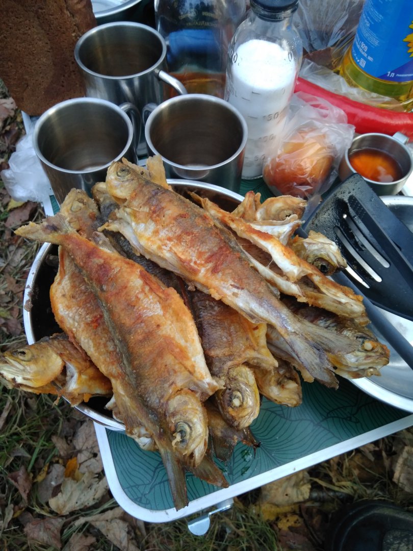 IMG_20191002_175007.jpg