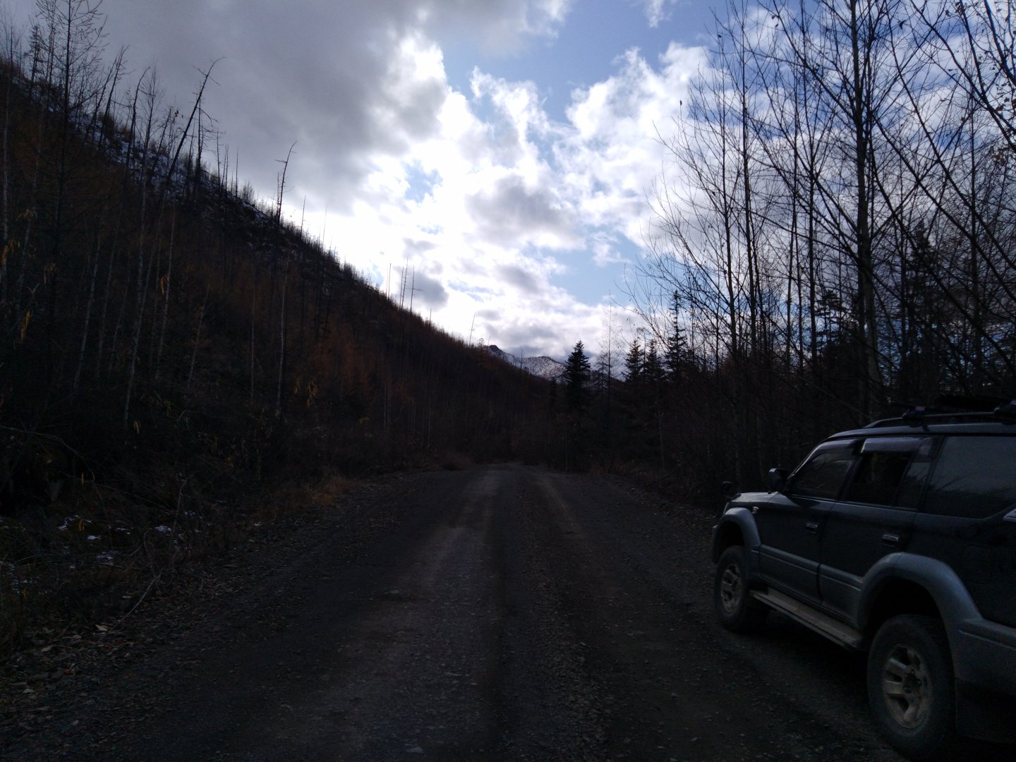 IMG_20191005_152617.jpg