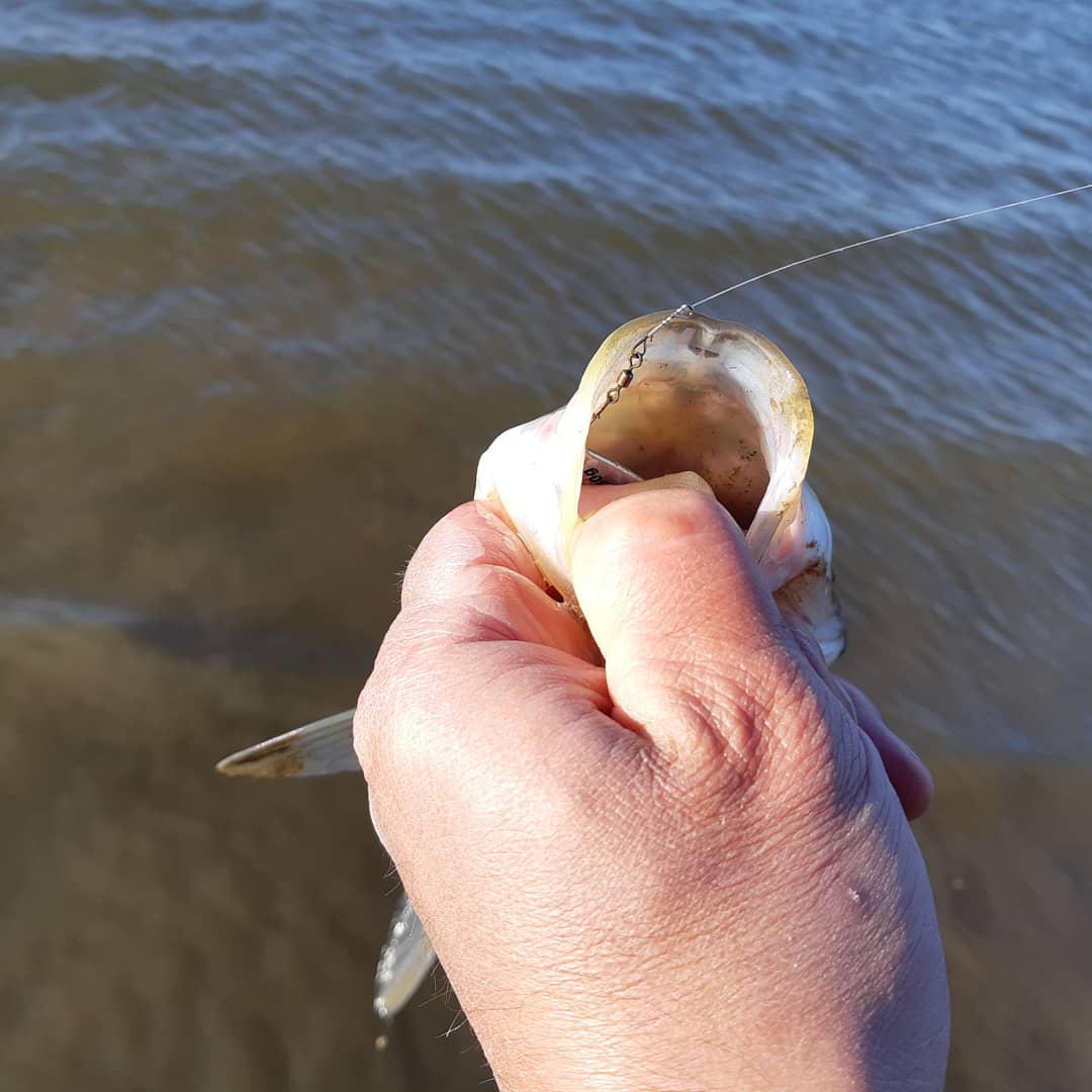 IMG_20191027_190631_564.jpg
