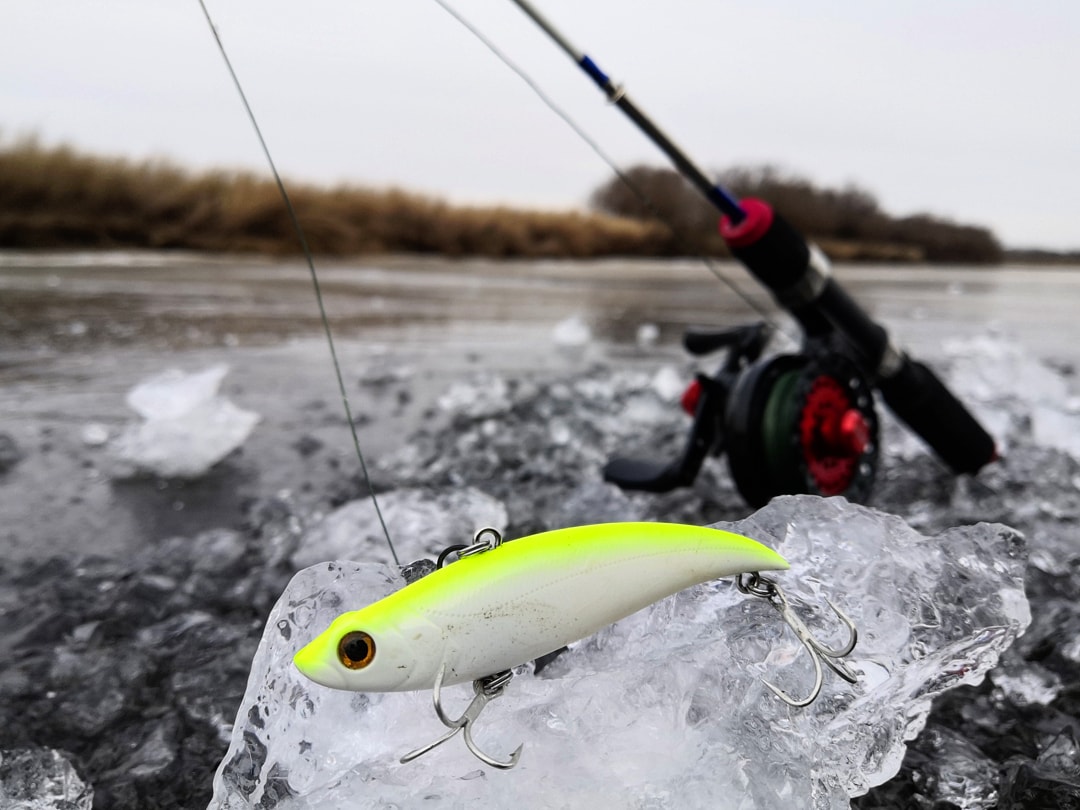 IMG_20191118_081518_909.jpg IMG_20191118_081518_909.jpg