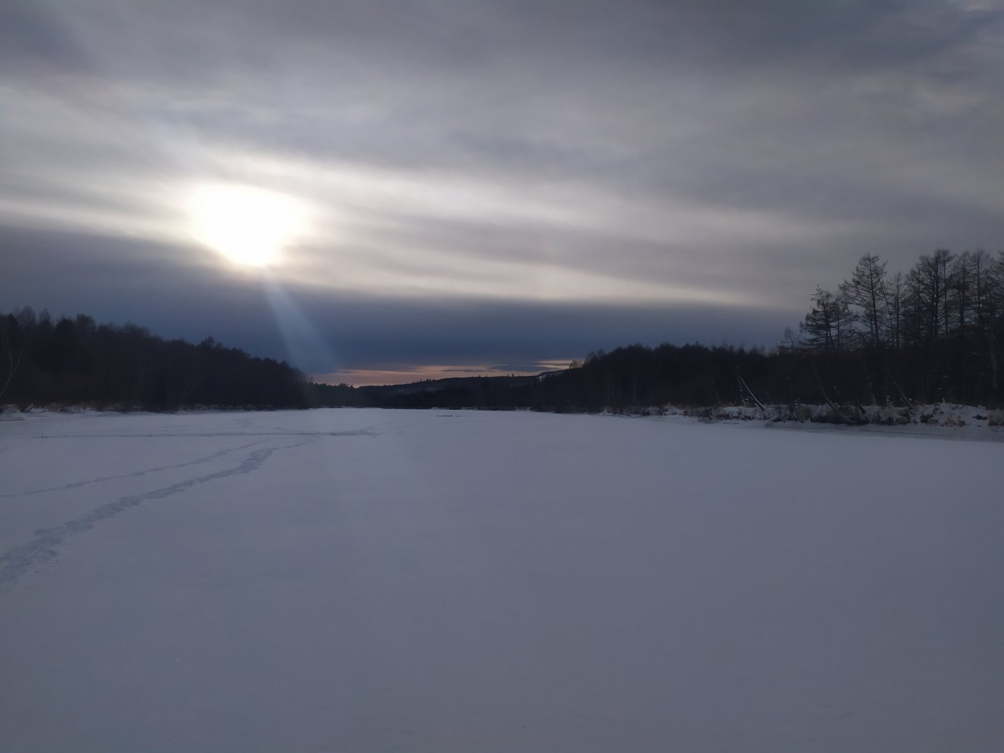IMG_20191122_151138.jpg