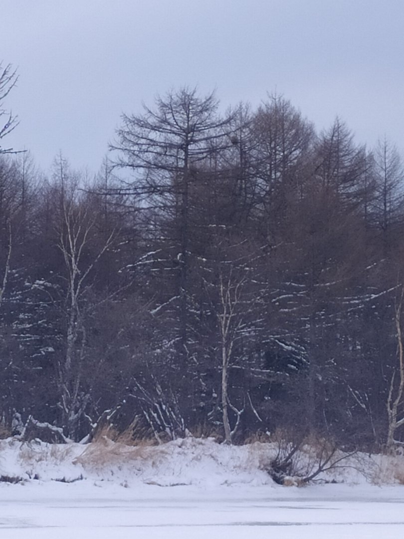 IMG_20191122_152049.jpg