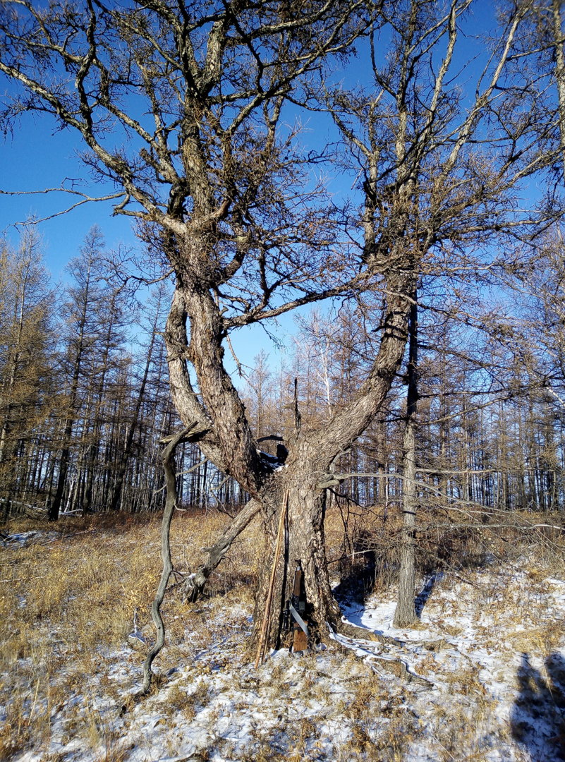 IMG_20191125_114234.jpg