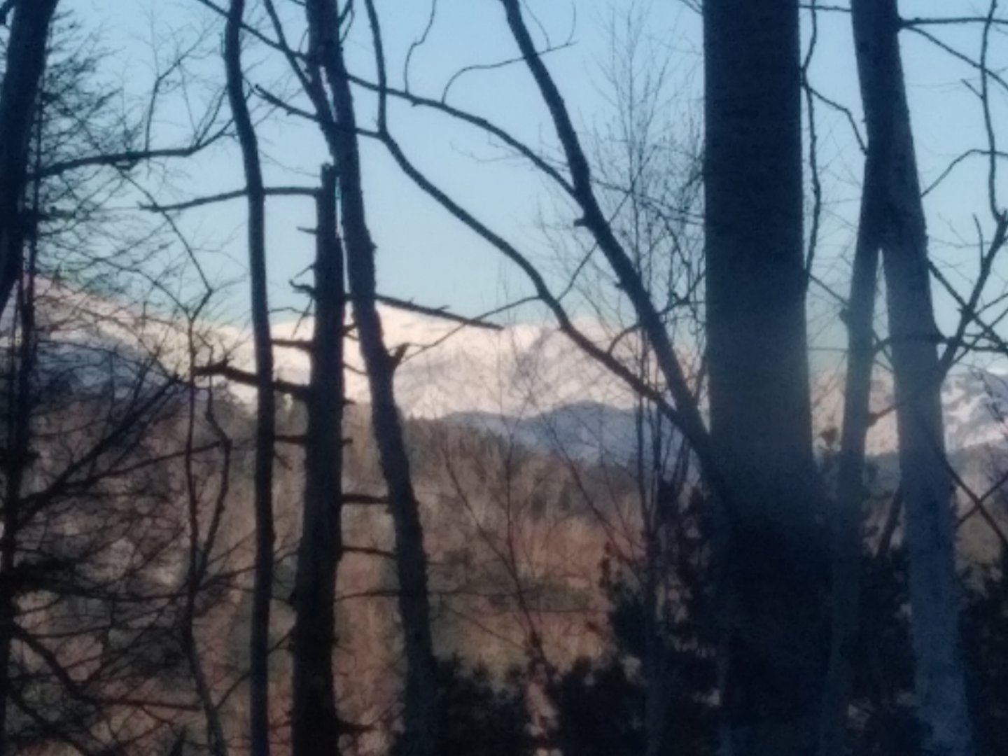IMG_20191130_101356.jpg
