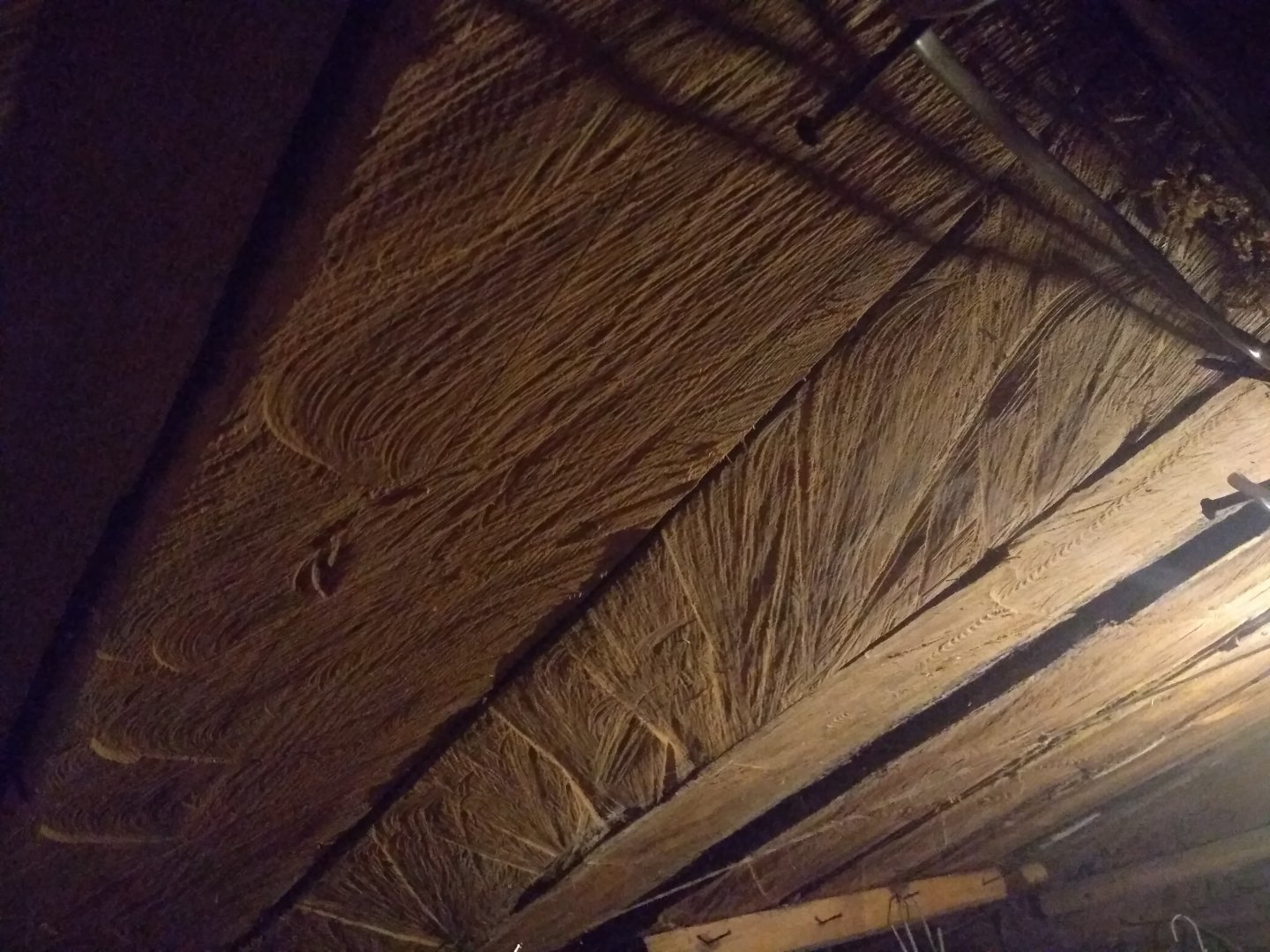 IMG_20191130_190630.jpg