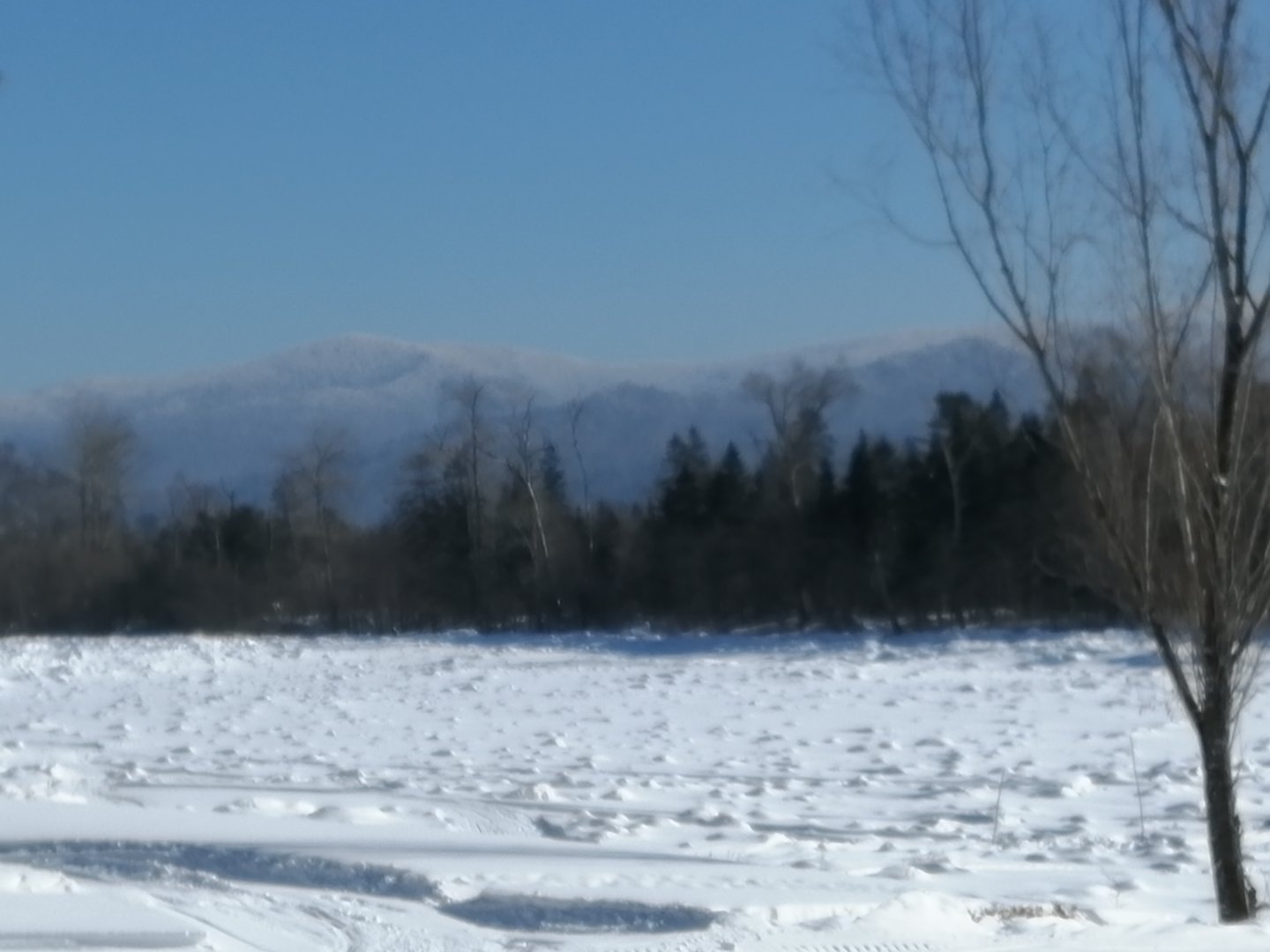 IMG_20200209_122206.jpg