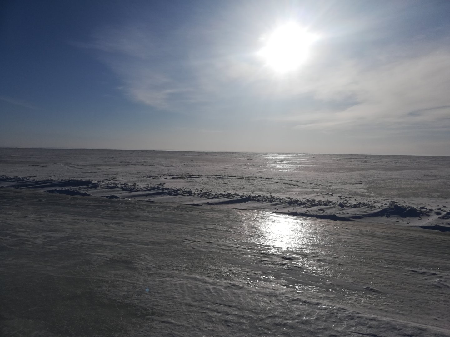 IMG_20200314_085547[1].jpg
