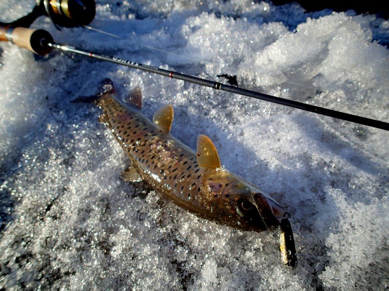 IMG_20200316_225128.jpg