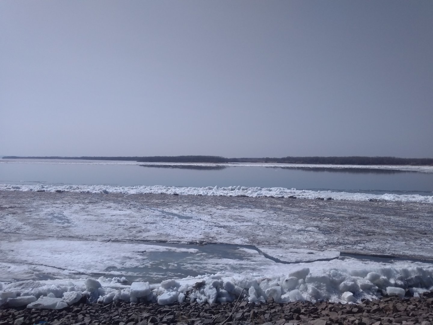 IMG_20200412_144219.jpg
