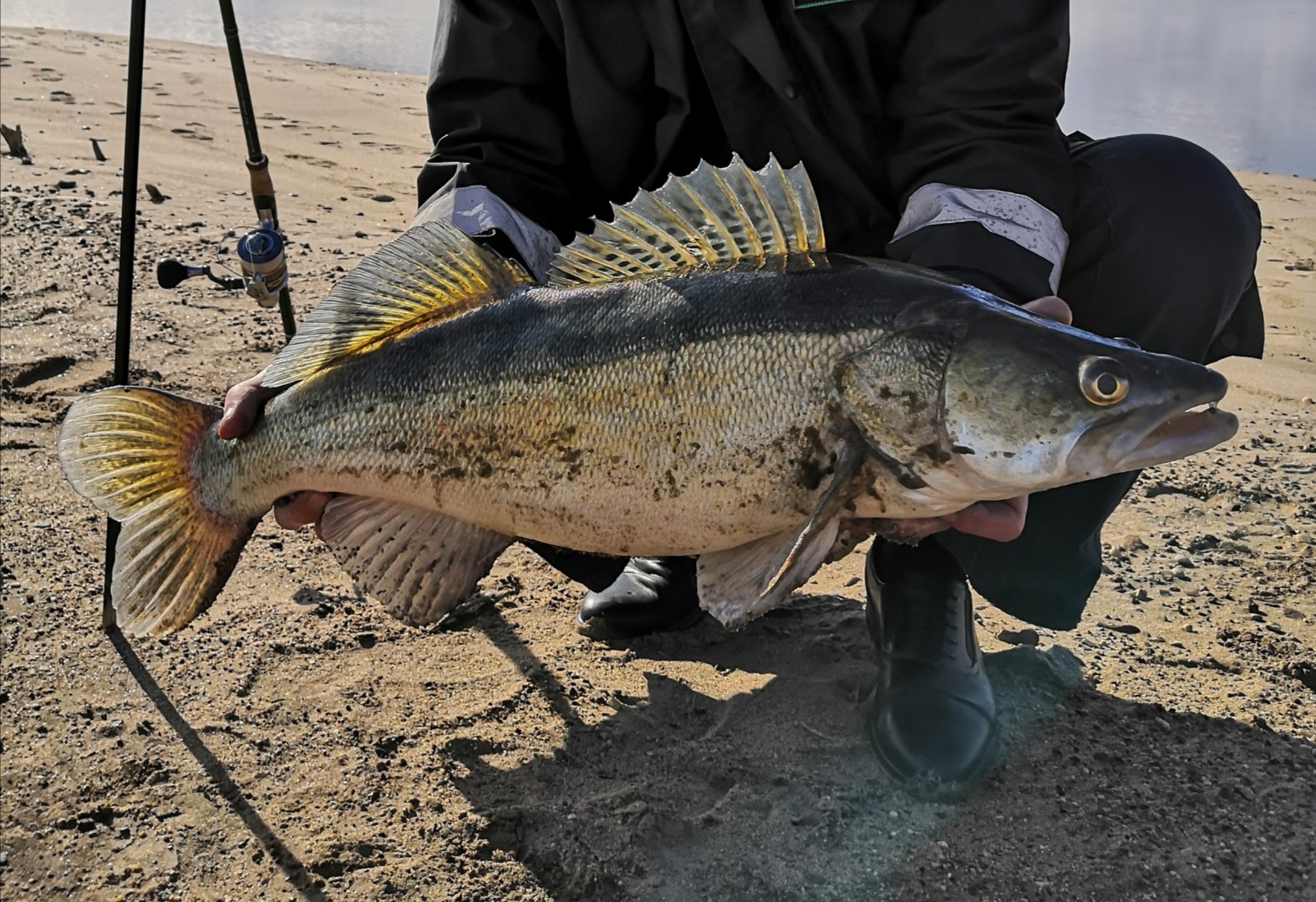 IMG_20200423_174709.jpg