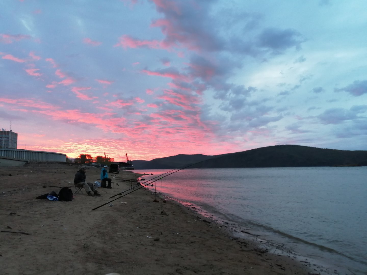 IMG_20200516_045250.jpg IMG_20200516_045250.jpg