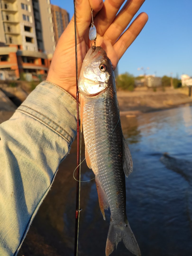 IMG_20200518_201316.jpg