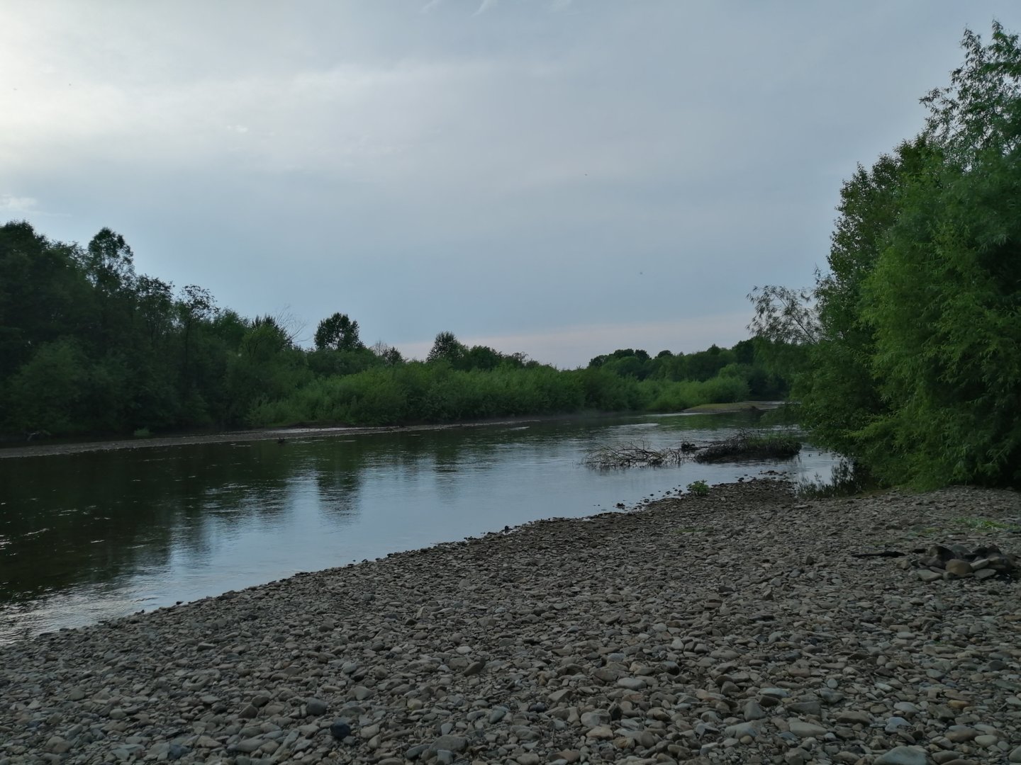 IMG_20200704_182647.jpg