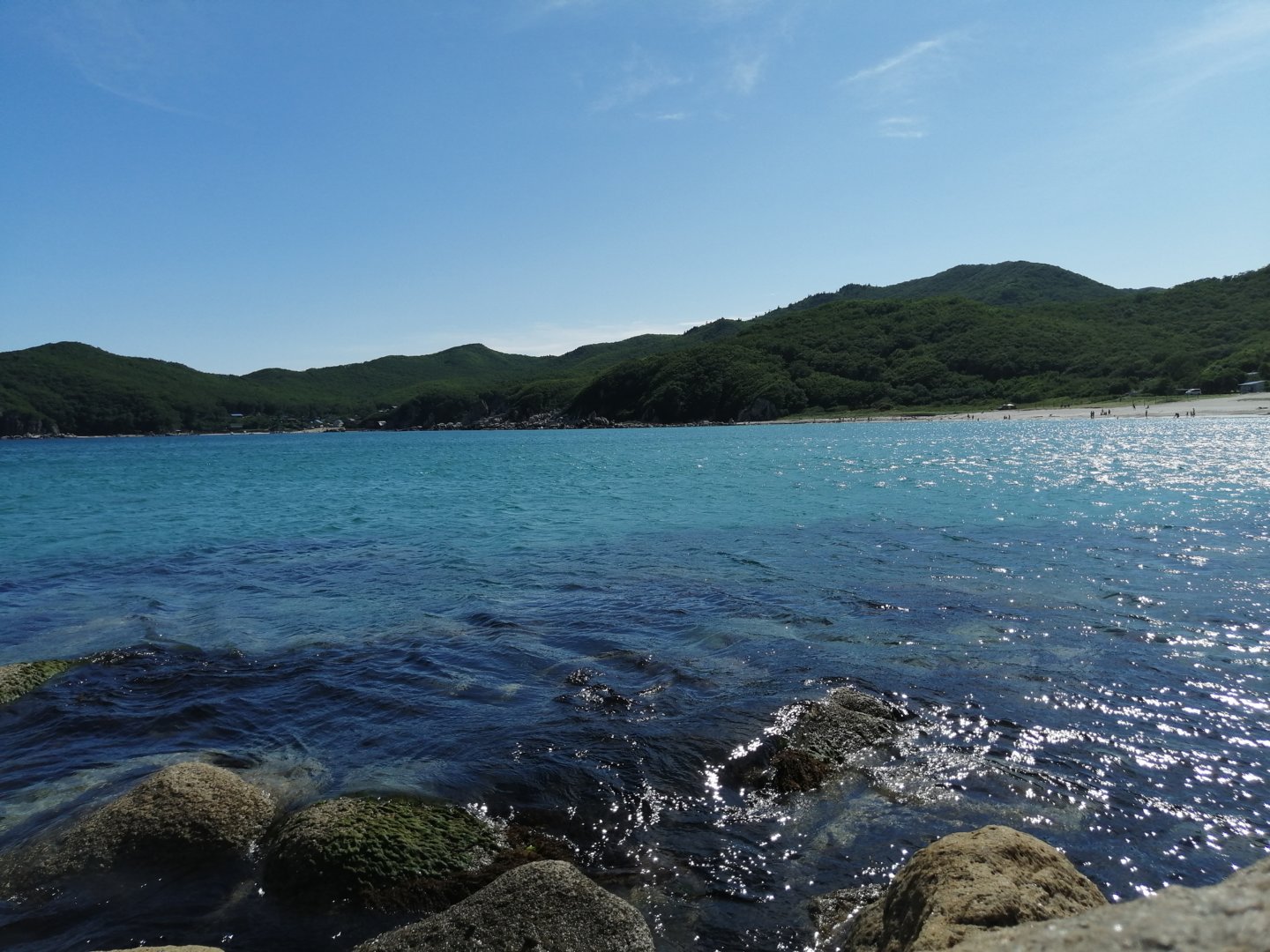 IMG_20200731_161447.jpg