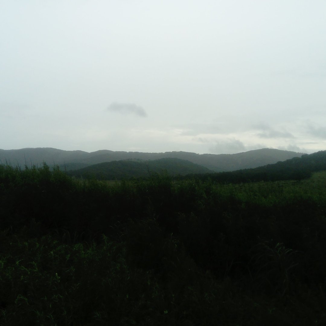 IMG_20200806_180435_769.jpg