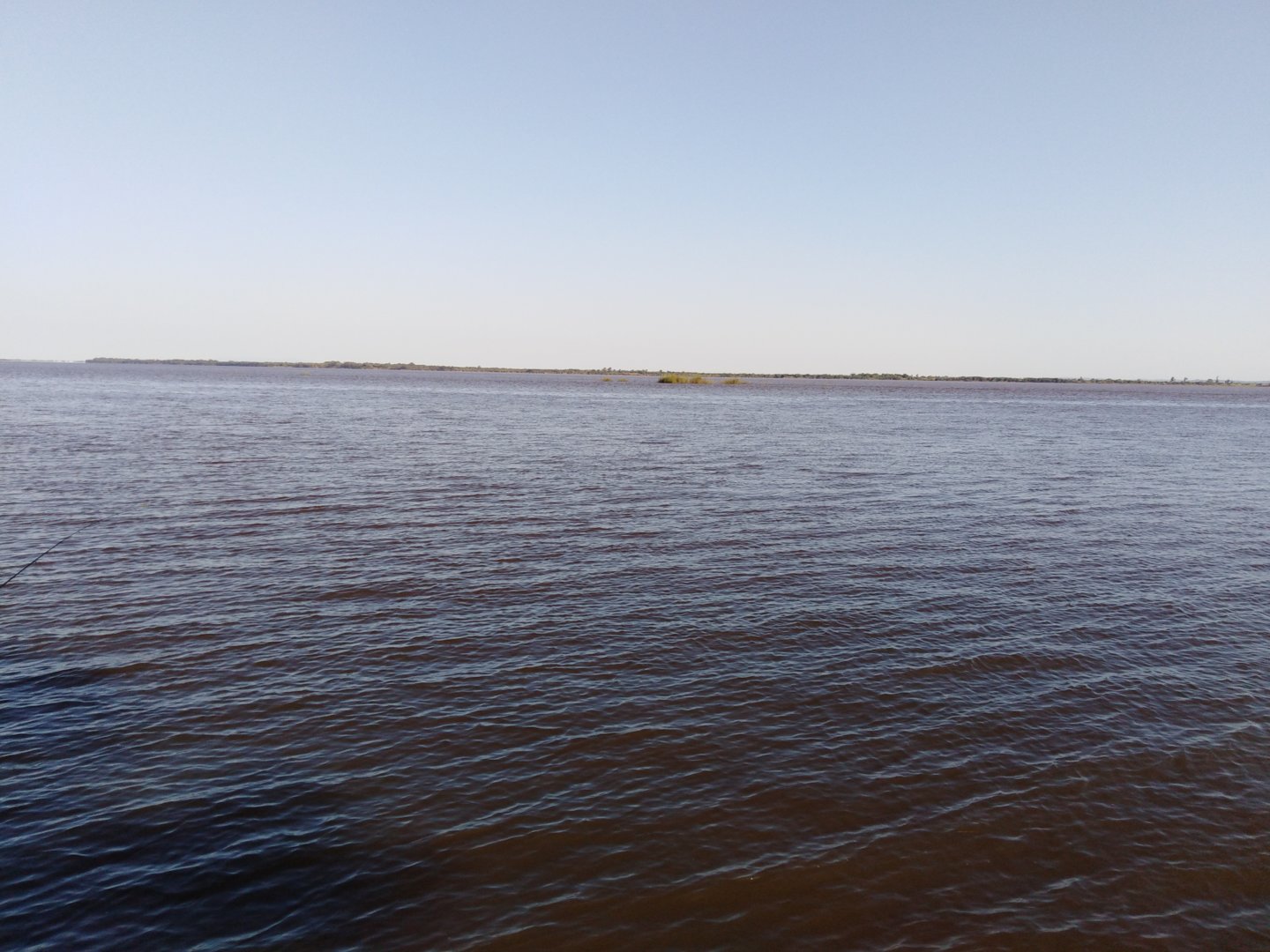 IMG_20200821_081939.jpg