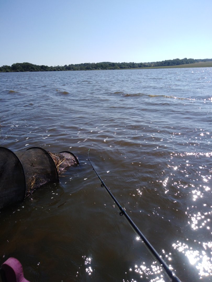 IMG_20200905_105247.jpg