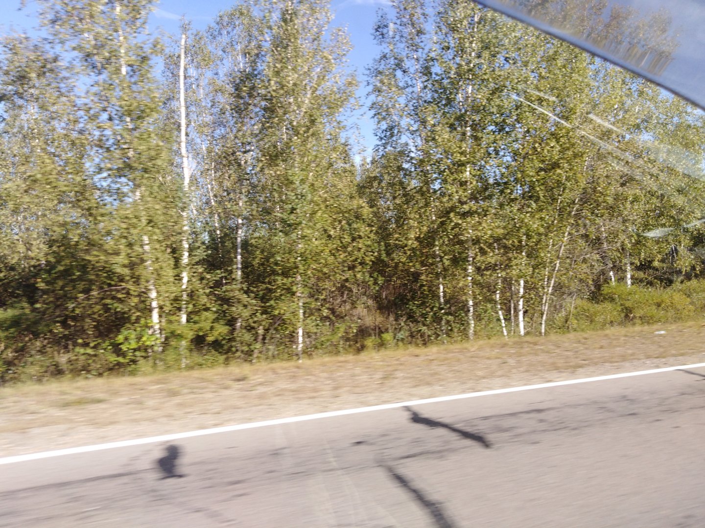 IMG_20200912_160848.jpg