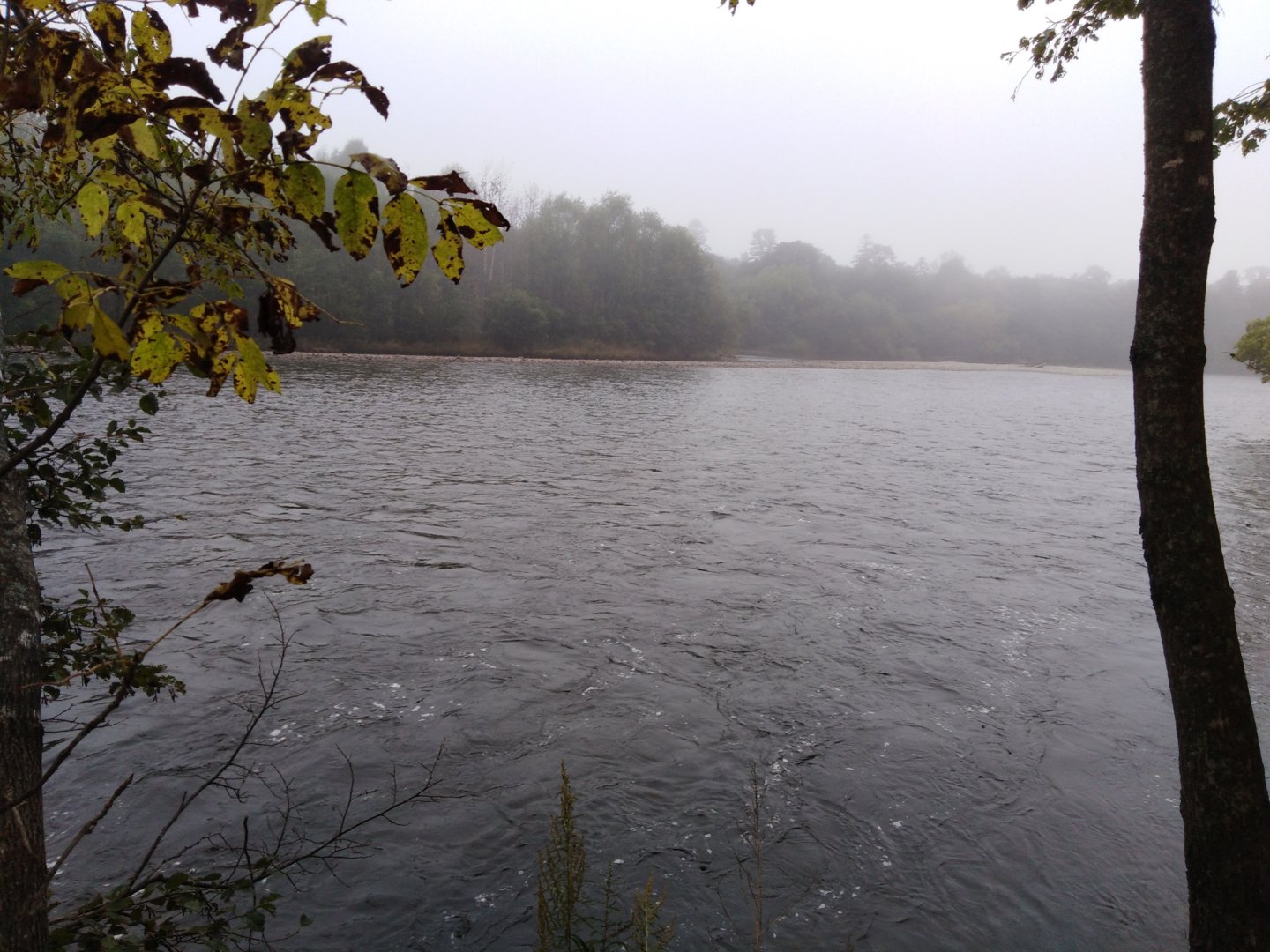 IMG_20200913_082952.jpg