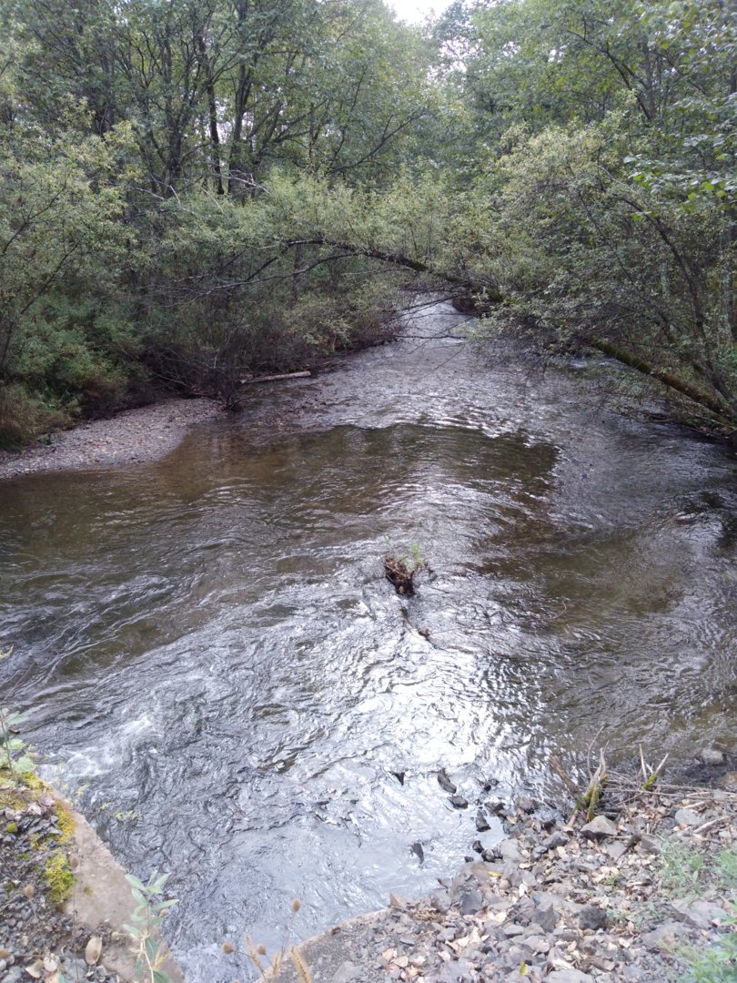 IMG_20200913_100926.jpg